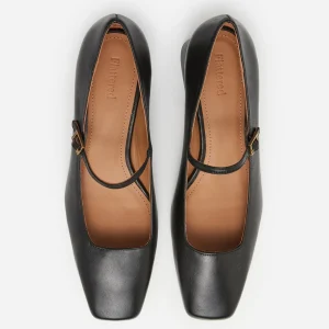 Evan Leather ^Flattered Online